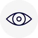 Vision Icon